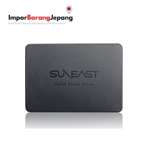 suneast-se90025st-256g